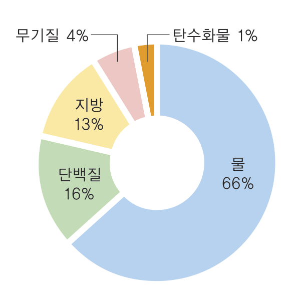 주식 차트 구성 요소
