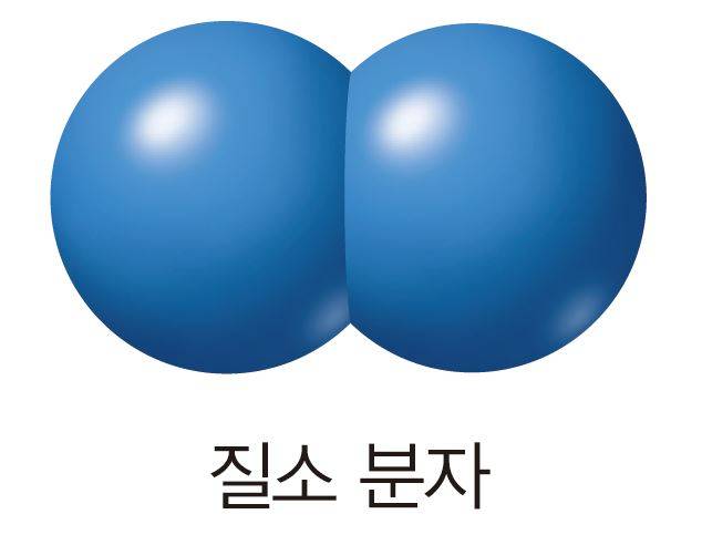 과학2_교과서이미지_1_물질의_구성_p25_질소_분자.jpg