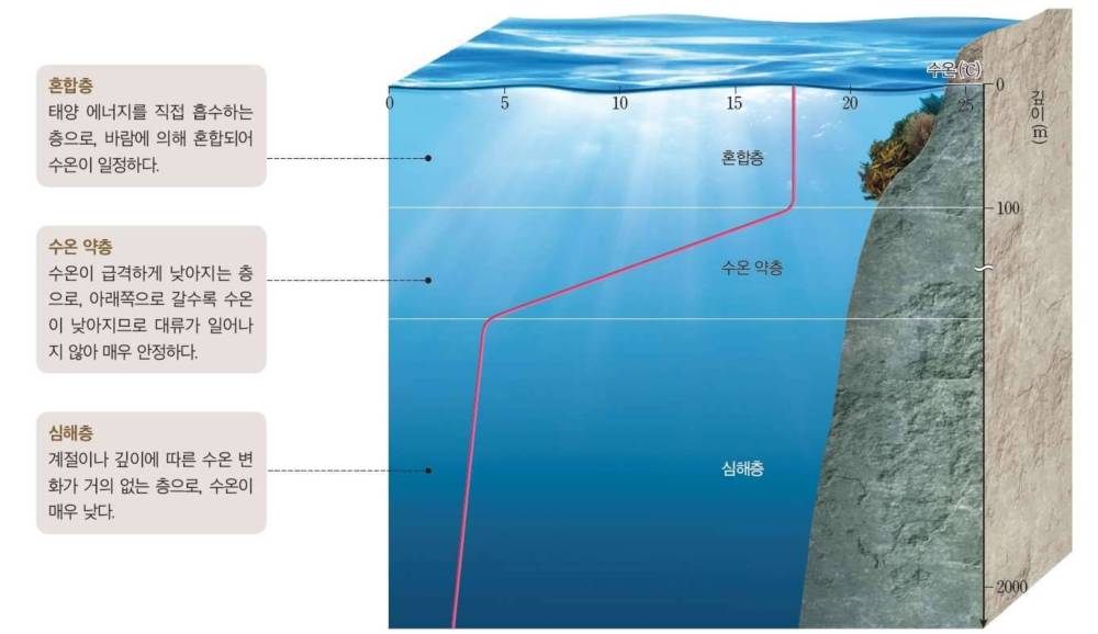 과학2_교과서이미지_7_수권과_해수의_순환_p245_해수의_층상_구조.jpg