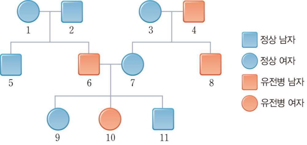 과학3_교과서이미지_5_생식과_유전_p203_유전병_유전_가계도.jpg