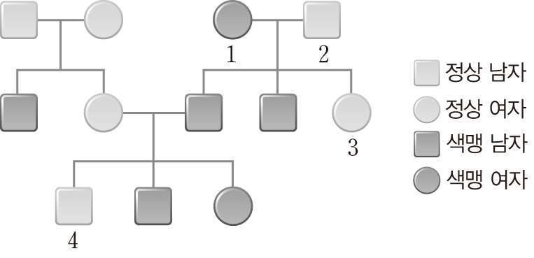 과학3_출제용이미지_5_생식과_유전_14_색맹_유전_가계도.jpg