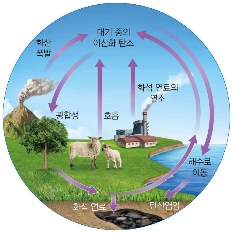 미래엔 엠티처