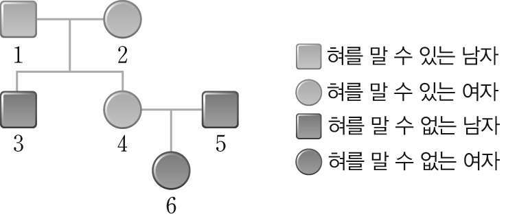 과학3_출제용이미지_5_생식과_유전_44_혀_말기_유전_가계도.jpg